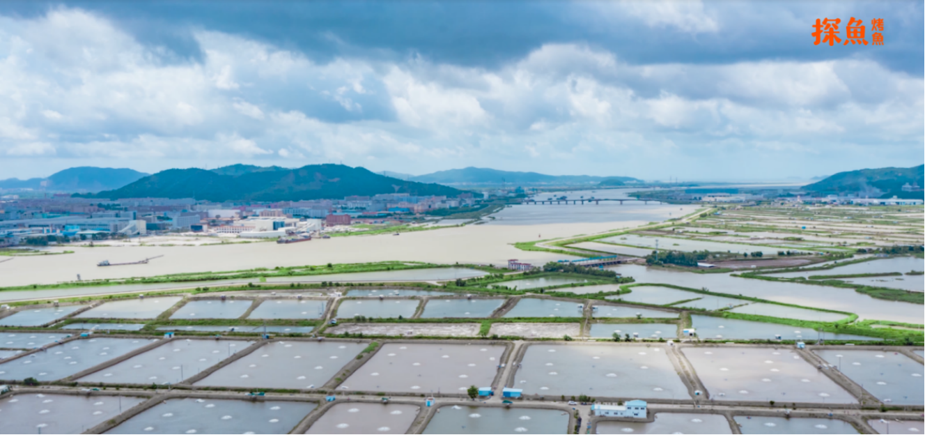 賽道競爭升級 探魚如何通過產(chǎn)品強(qiáng)力突圍？